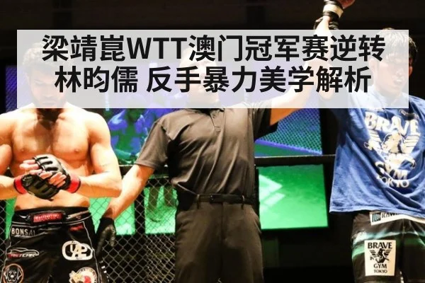 梁靖崑WTT澳门冠军赛逆转林昀儒 反手暴力美学解析